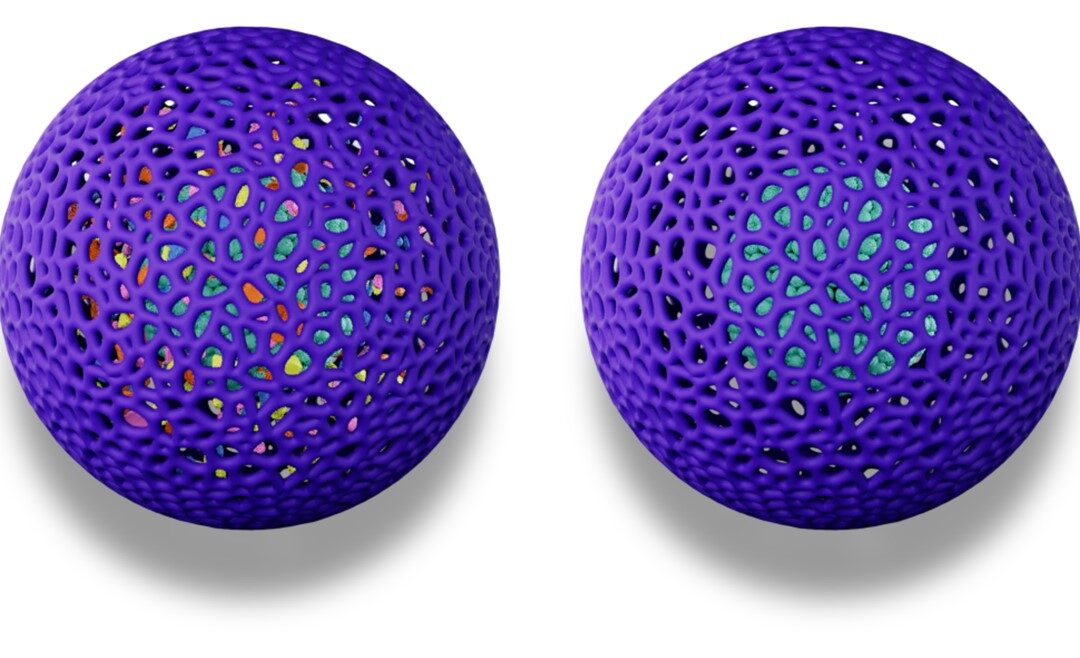 Nanoparticles Can Enhance the Infection of Epithelial Cells with an Enterovirus