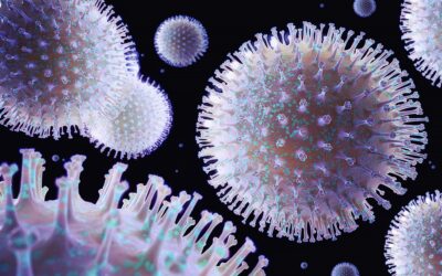 Nasal Flu Vaccination Study