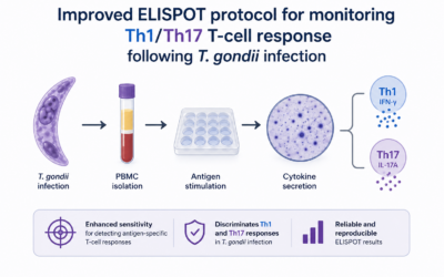 Monitoring Th1/Th17 T-cell Response Following T.gondii Infection