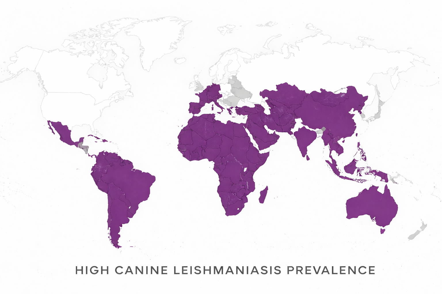Canine Leishmaniasis