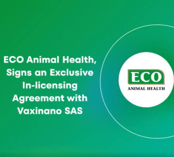 Vaxinano and ECO Animal Health Sign Exclusive Licensing Agreement for Toxoplasmosis Vaccine